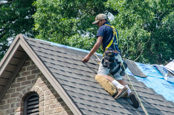 Best Roof Gutter Cleaning  in Discovery Harbour, HI